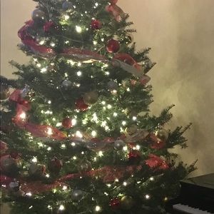 Meet your Posher, Jenn